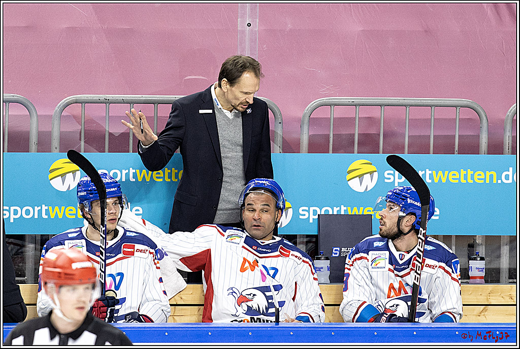PENNY DEL;  Koelner Haie - Adler Mannheim; Koeln, 02.01.2022